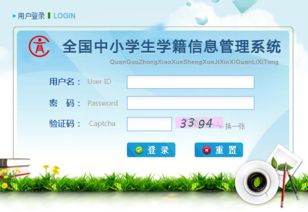 全國(guó)中小學(xué)生學(xué)籍管理系統(tǒng) 信息系統(tǒng)運(yùn)行維護(hù)服務(wù)的關(guān)鍵角色與實(shí)踐路徑