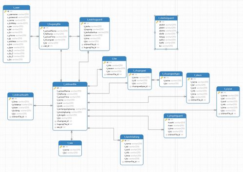 基于SSM框架的非Maven養(yǎng)老院綜合服務(wù)管理系統(tǒng)運(yùn)行維護(hù)服務(wù)解析